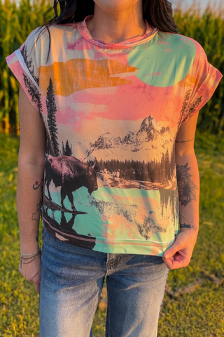 \ Western Buffalo Graphic Top | Watercolor Boho Tee