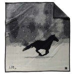 Pendleton Blanket